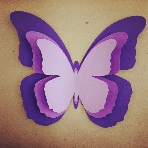 Raylogic 11g 1290 — изображение 7