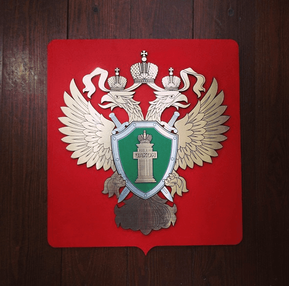 Raylogic 11g 1290 — изображение 10