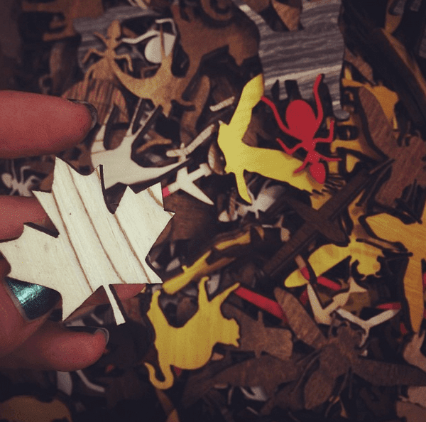 Raylogic 11g 1290 — изображение 17